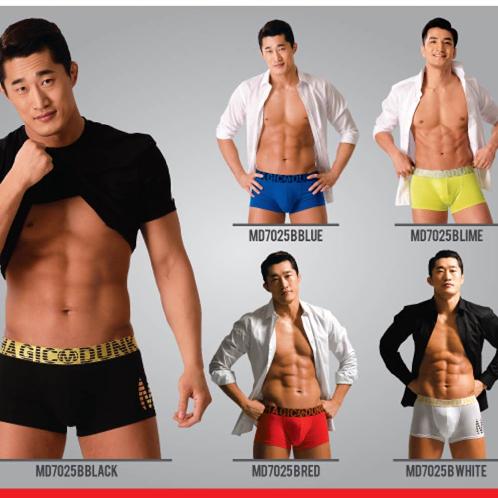 Magic Dunk functional underwear B-TYPE SET (5 types)