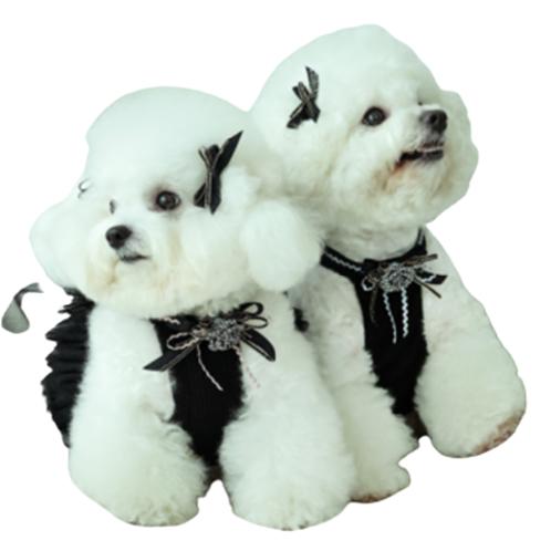 Tutu dress _pet clothes/fashion (4 colors)